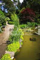 Landscaped garden path and pond