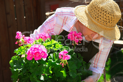 Senior woman gardening