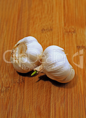 Garlic bulb