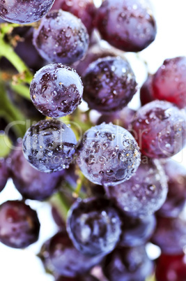 Red grapes