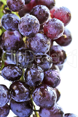 Red grapes