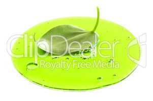 Fresh leaf in green liquid
