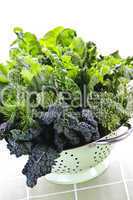 Dark green leafy vegetables in colander