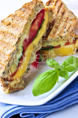 Grilled cheese sandwich