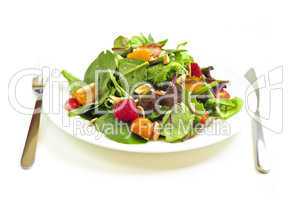 Plate of green salad on white background