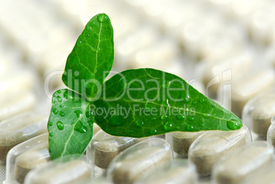 Herbal supplement