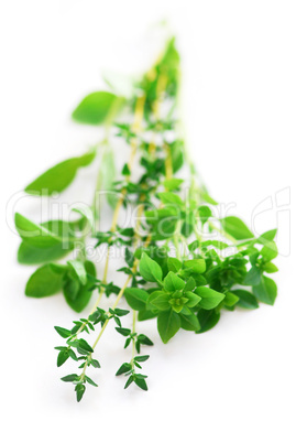 Assorted herbs