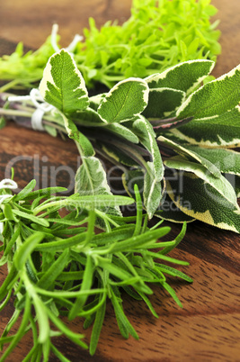 Bunches of fresh herbs