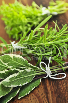 Bunches of fresh herbs