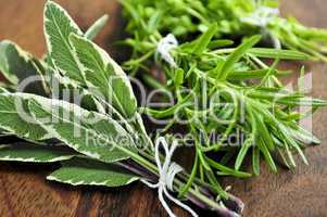 Bunches of fresh herbs