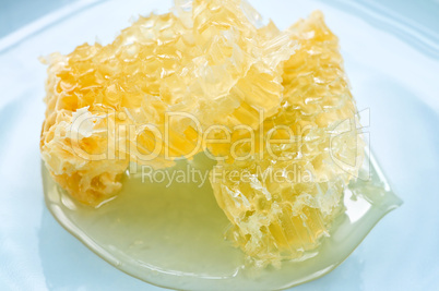 Honey in honeycomb