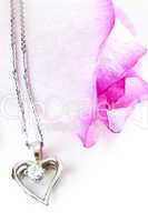 Diamond necklace on rose