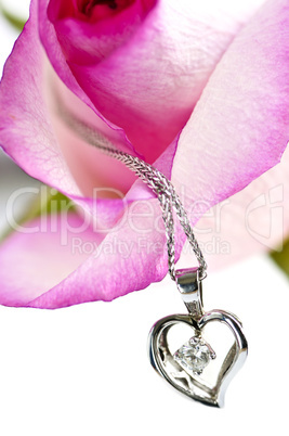 Diamond necklace on rose