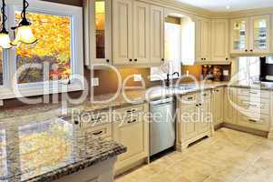 Modern kitchen interior