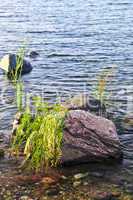 Rocks in water