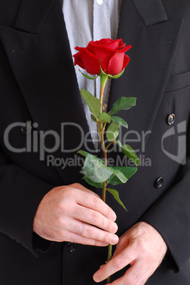 Man red rose