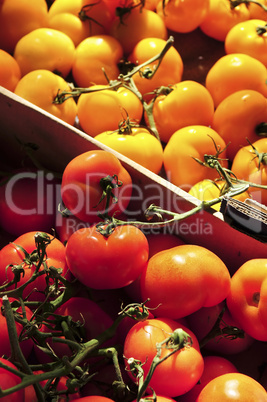 Tomatoes on the market
