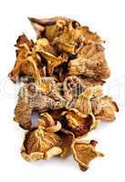 Dry chanterelle mushrooms