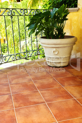 Plant on tiled Mexican veranda