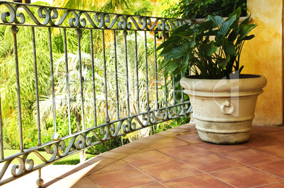 Plant on tiled Mexican veranda