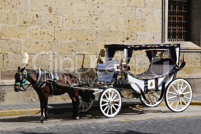 Horse drawn carriage in Guadalajara, Jalisco, Mexico