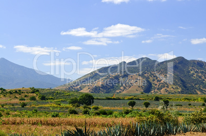 Landscape in Jalisco,  Mexico