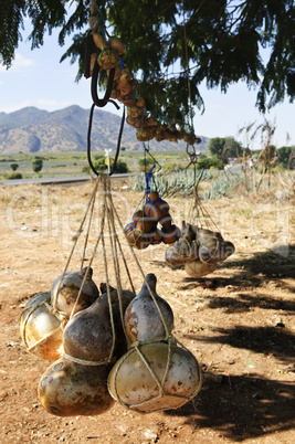 Calabash gourd bottles in Mexico