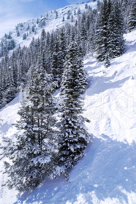 Ski tracks in mountains