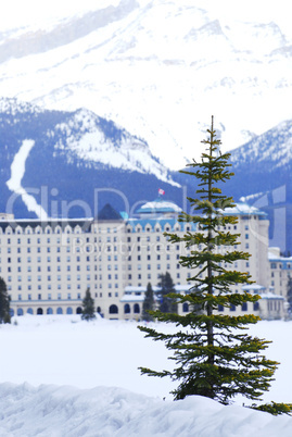 Chateau Lake Louise