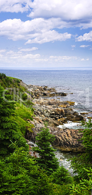 Atlantic coast in Newfoundland
