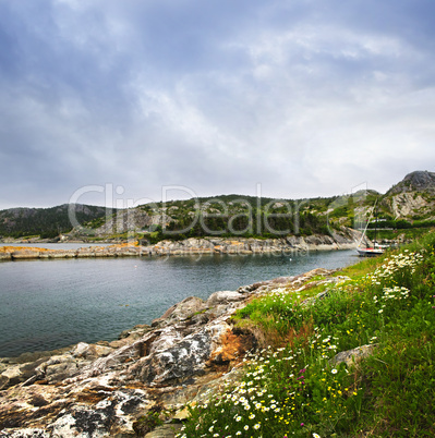 Atlantic coast in Newfoundland