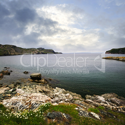 Atlantic coast in Newfoundland