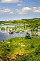 Beautiful lake shore in Newfoundland