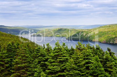 Placentia Bay in Newfoundland