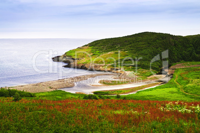 Atlantic coast in Newfoundland