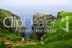 Clilffs at Cape St. Mary's Ecological Bird Sanctuary