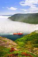 Ship entering the Narrows of St John's