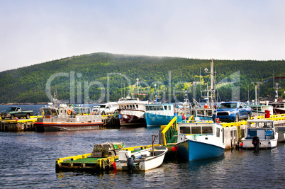 Fishing boats in Newfoundland