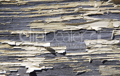 Old wood background