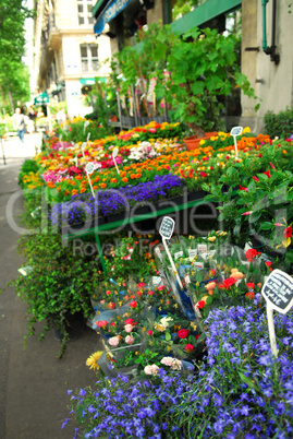 Flower stand in Paris