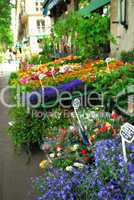 Flower stand in Paris