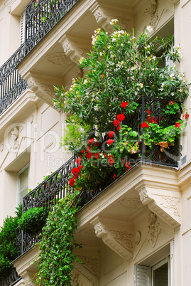 Paris balcony