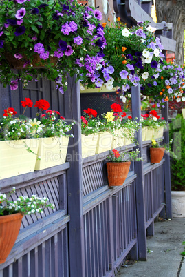 Restaurant patio