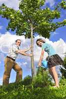 Planting a tree