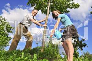 Planting a tree