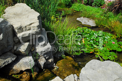 Pond landscaping