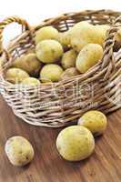 Row potatoes