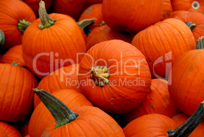 Pumpkins