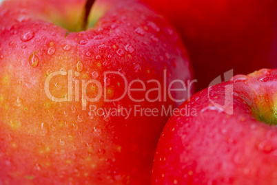 Red apples macro