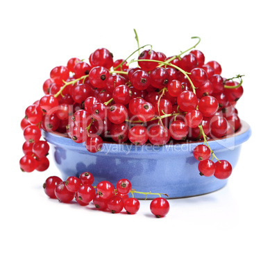 Red currants